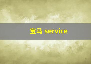 宝马 service